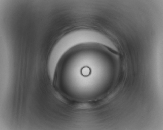 X0000114440409200910231322