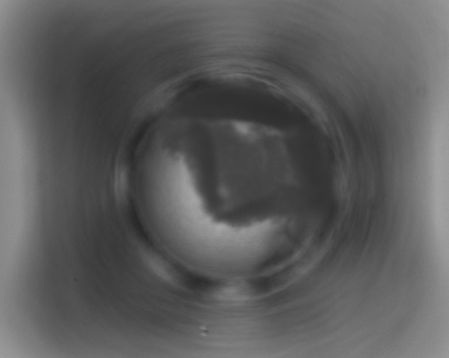 X0000114440410200910231322