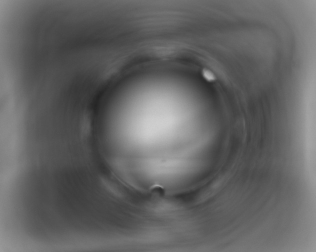 X0000114440412200910231322