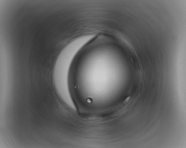 X0000114440415200910231322