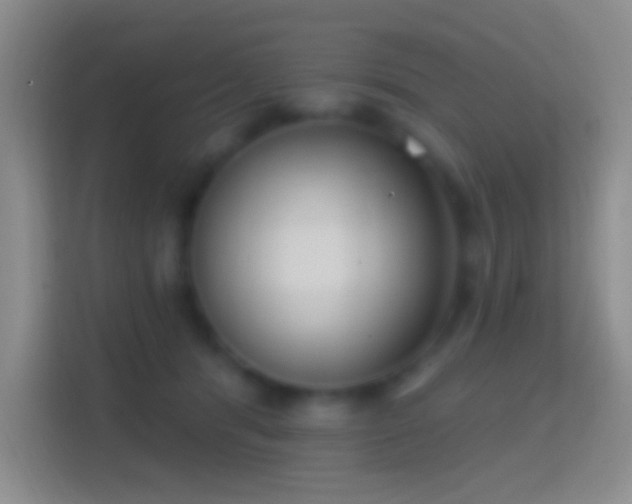 X0000114440416200910231322