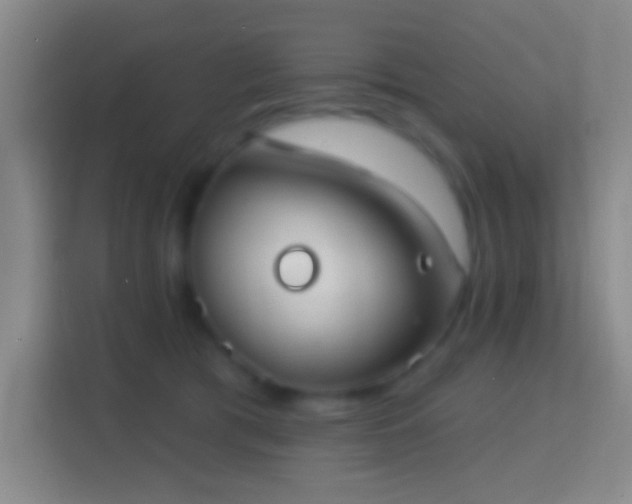 X0000114440417200910231322