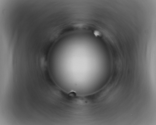 X0000114440420200910231322