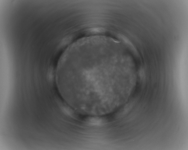 X0000114440423200910231322