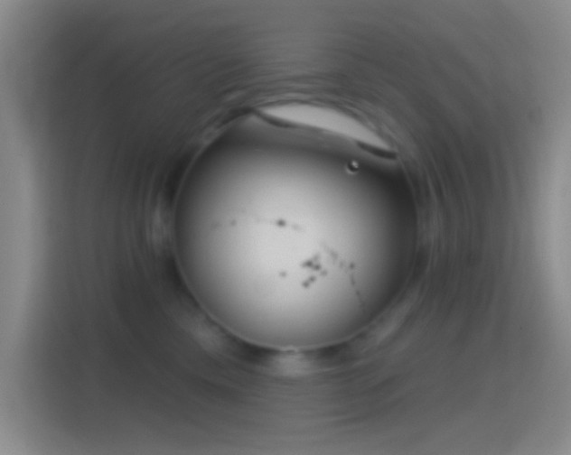 X0000114440425200910231322