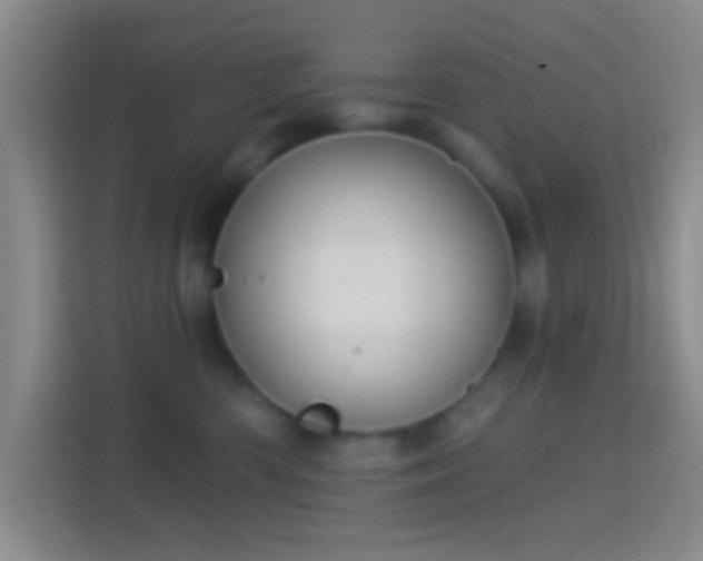 X0000114440426200910231322