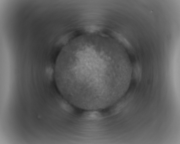 X0000114440427200910231322