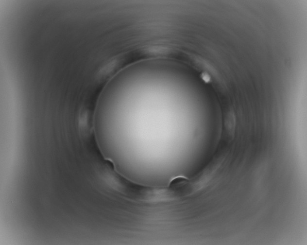 X0000114440428200910231322