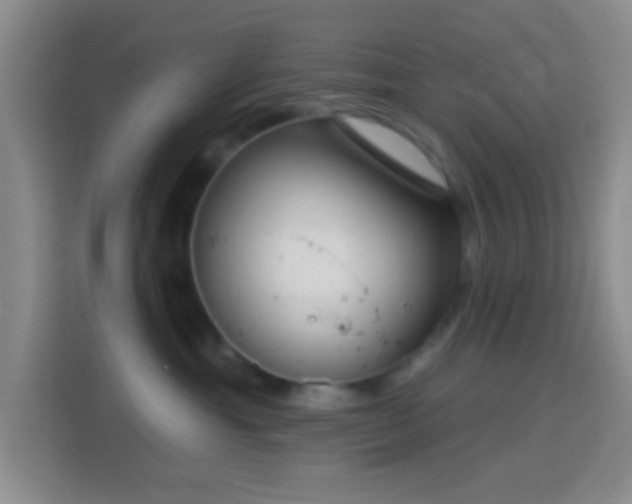 X0000114440429200910231322