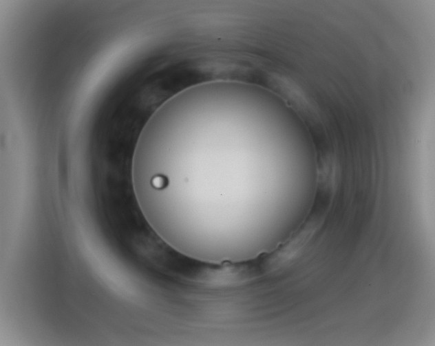 X0000114440430200910231322