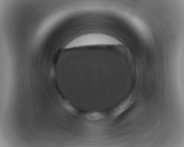 X0000114440431200910231322