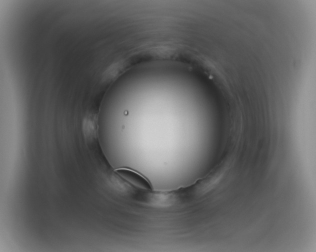 X0000114440432200910231322