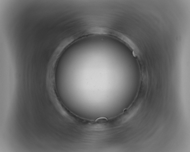 X0000114440433200910231321