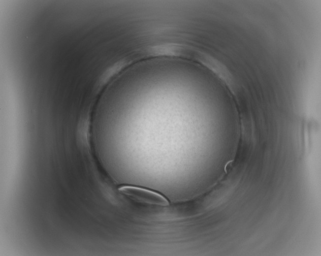 X0000114440434200910231321