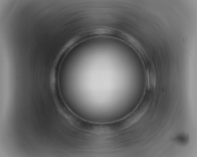 X0000114440435200910231321