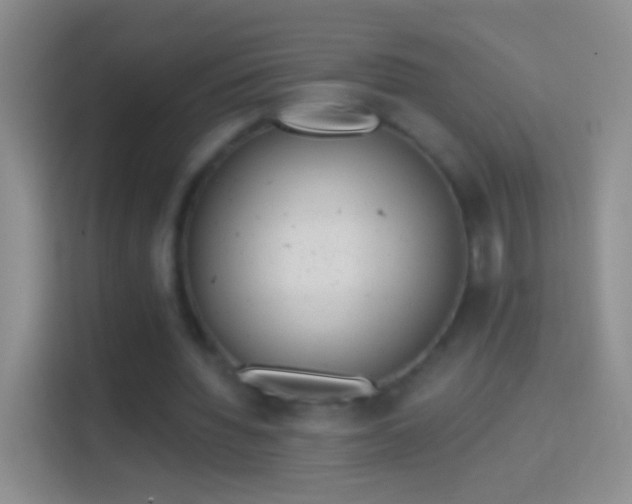 X0000114440436200910231321