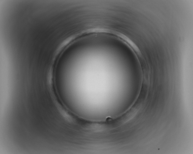 X0000114440437200910231321