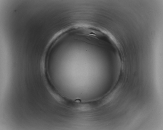 X0000114440438200910231321