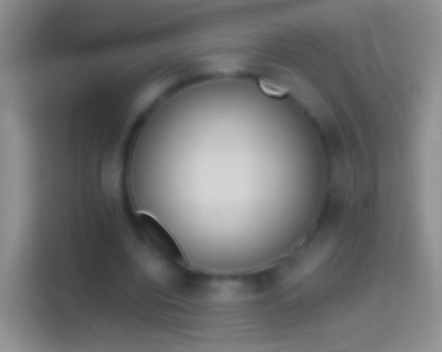 X0000114440440200910231321