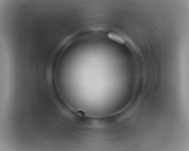 X0000114440442200910231321