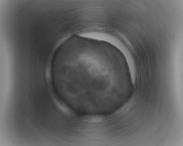 X0000114440443200910231321