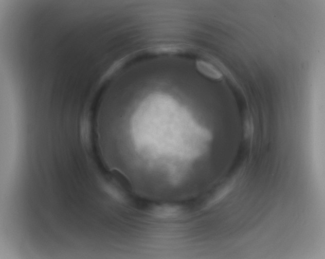 X0000114440444200910231321