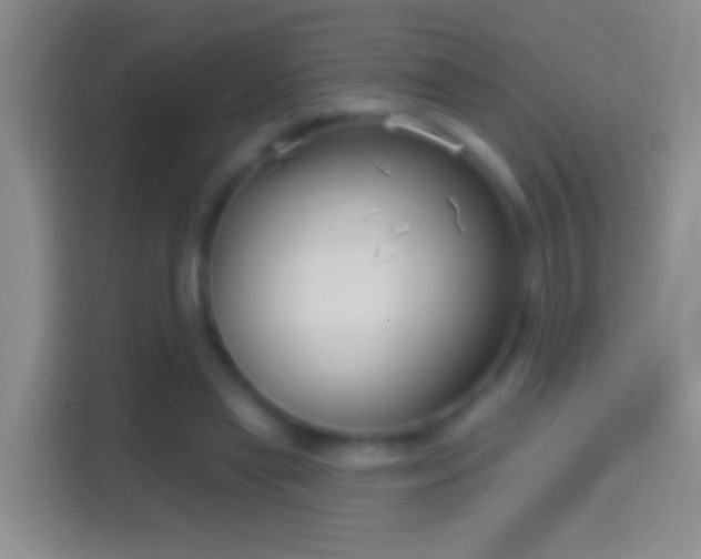 X0000114440445200910231321