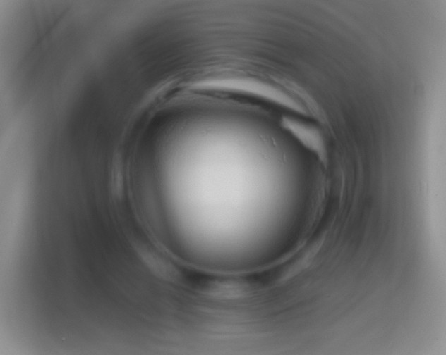 X0000114440446200910231321