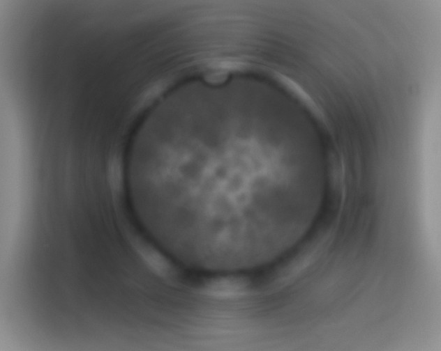 X0000114440447200910231321