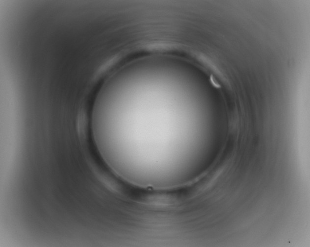 X0000114440448200910231321