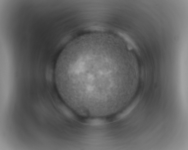 X0000114440449200910231321