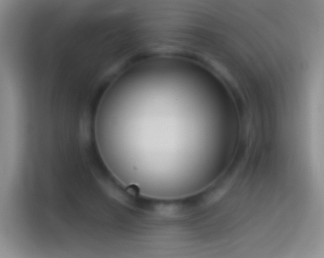 X0000114440450200910231321