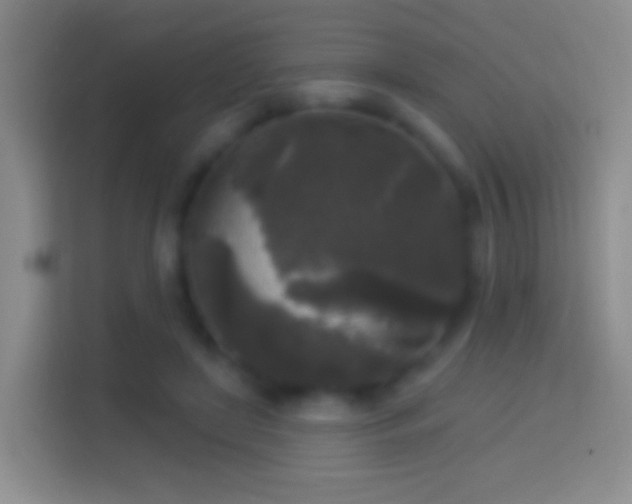 X0000114440451200910231321