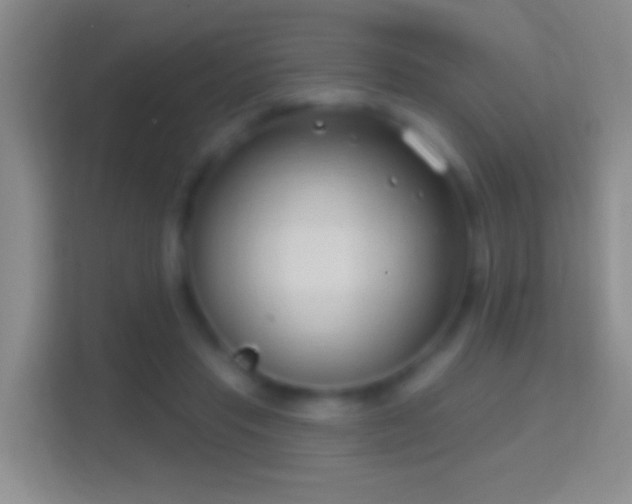 X0000114440453200910231321