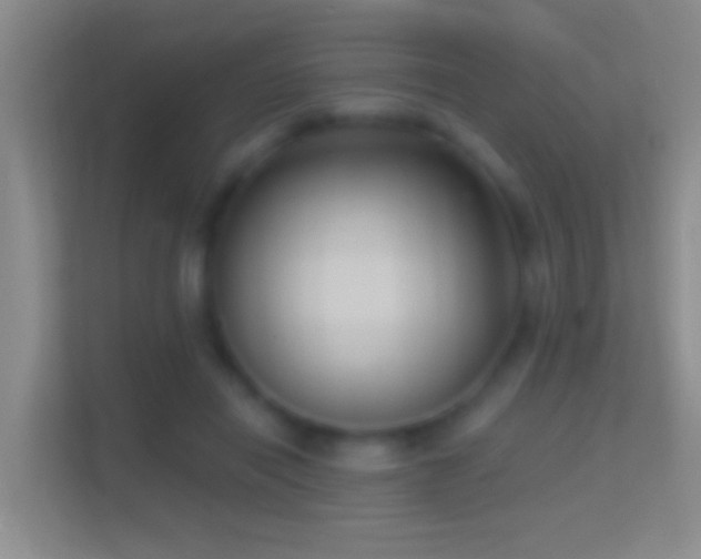 X0000114440454200910231321