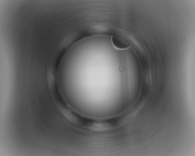 X0000114440455200910231321