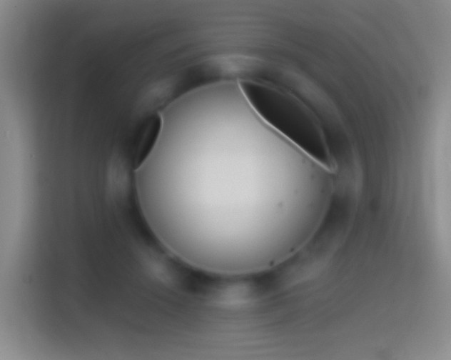 X0000114440456200910231321