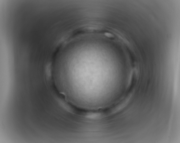 X0000114440458200910231321