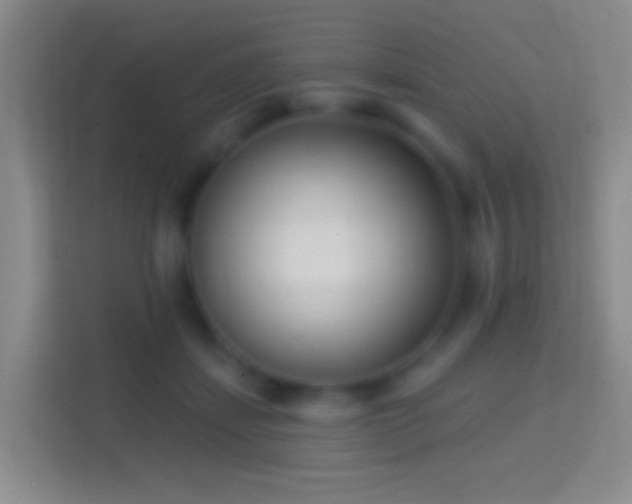 X0000114440459200910231321