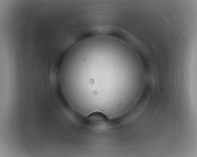 X0000114440460200910231321