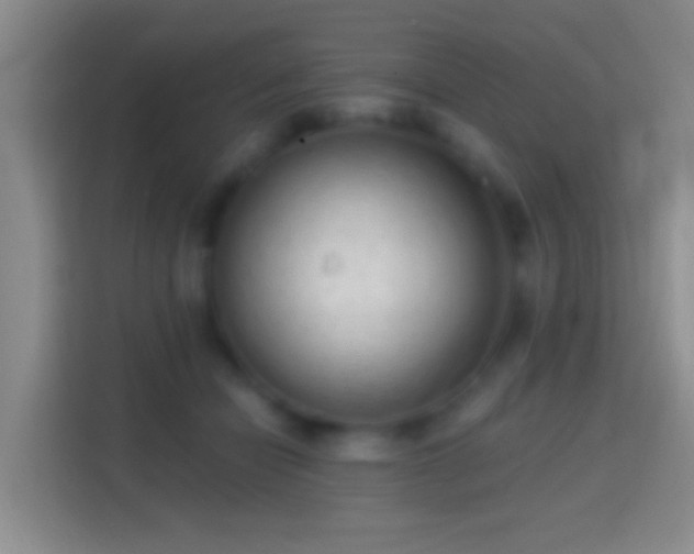 X0000114440462200910231322