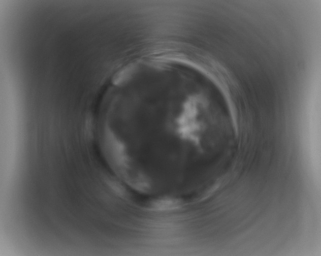 X0000114440465200910231322