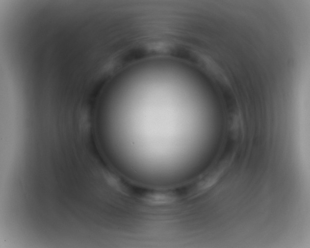 X0000114440466200910231322