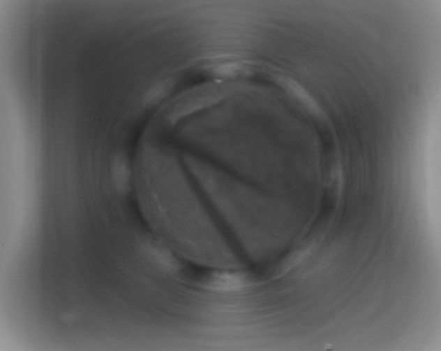 X0000114440469200910231322