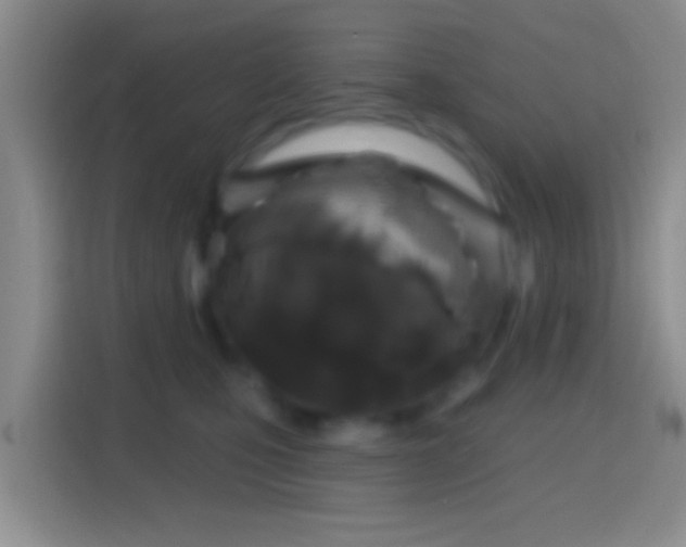 X0000114440471200910231322