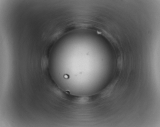 X0000114440474200910231322