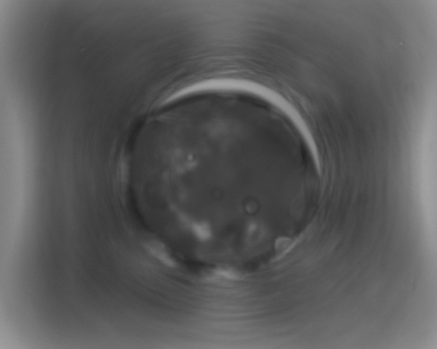 X0000114440475200910231322