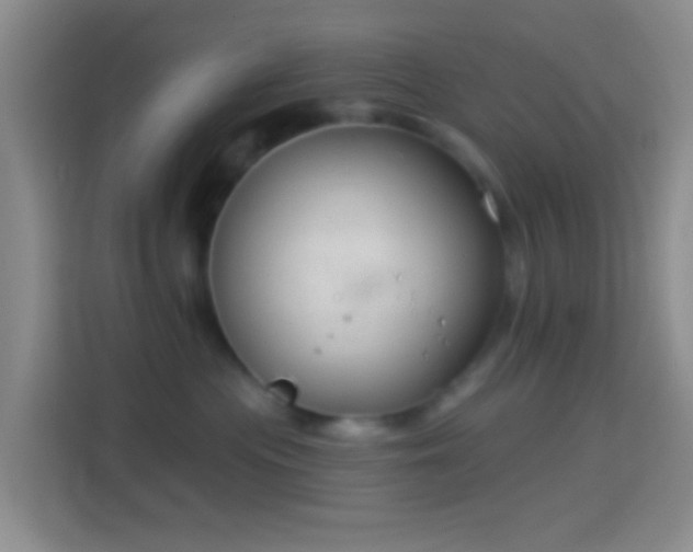 X0000114440477200910231322