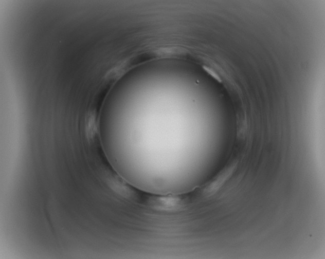 X0000114440478200910231322