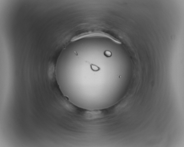 X0000114440480200910231322